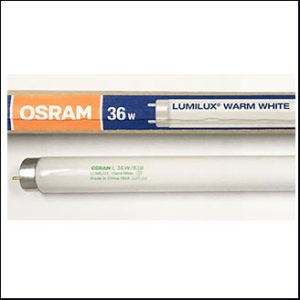 OSRAM L 36W/830 warmwhite G13