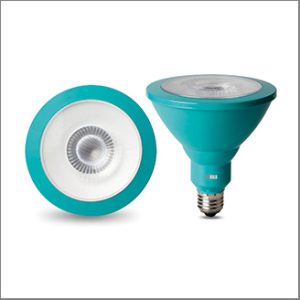 bioBULB PAR38 Spot Color LED 8W 40º GREEN (IP65)