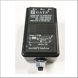 GATA Ignitor TZ2000