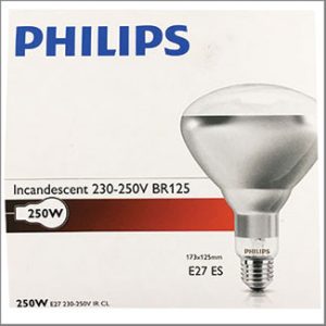 Philips Infrared BR125 250W CLEAR E27 230V