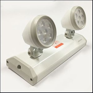 DYNO RDY-302A, 220Vac remote head, LED 2x9W