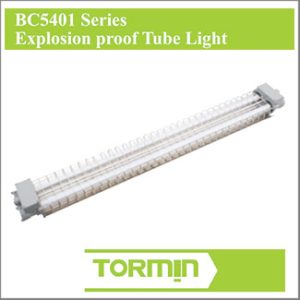 Explosion Proof "TORMIN" BC5401-L2*20A