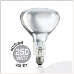 SLIGHT Infrared R125 250W CLEAR 230V E27 3000hrs.