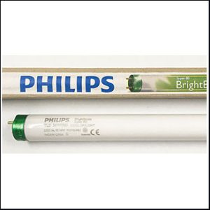 Philips TL-D T8 36W/865 6500K daylight G13 (120cm.)