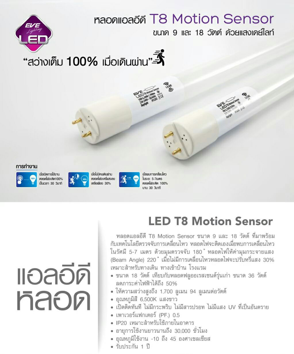 eve led 18w