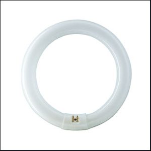 Philips Circular TL-E 32W/54-765