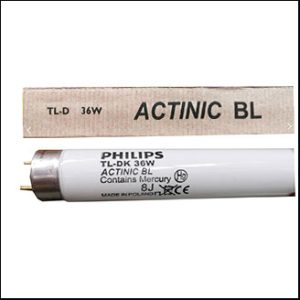Philips Actinic Blacklight BL TL-DK 36W G13 (60cm.)