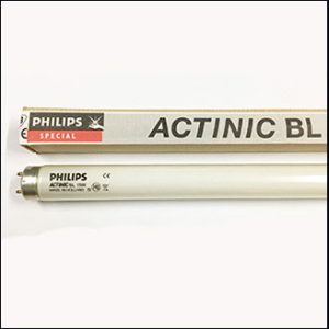 Philips Actinic BL TL-D 15W/10 Secura G13