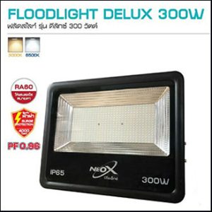 NEO-X Delux Floodlight LED 300W 6500K daylight