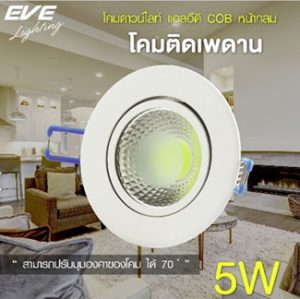 EVE downlight COB 5W day