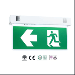 Sunny SLS5-12LED/D, (R), 12W 2hrs. (recess -two side)