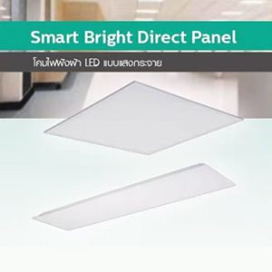 Philips RC048B LED32S 36W/865 day 3200lm (30x120cm.)