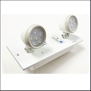 Dyno RES-09P3T LED 2x9W warmwhite 3hrs. dim remote (ประกันวงจร 5, แบต 2)