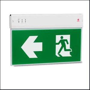 Sunny SLS6-10LED/D (C), 10W, 3hrs. (ceiling-two side)