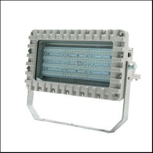Alloy Floodlight DFDD-100 LED 100W  (Zone1&2-21&22)