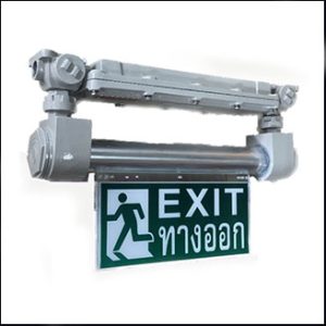BGM Exit EEXT LED TYPE A (GAS1&2/DUST21&22)