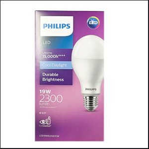 Philips A67 LED Bulb 19W 6500K day E27