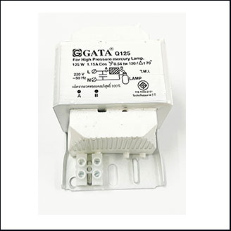 GATA-Q125-ballast-pic