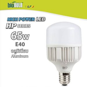 bioBULB High Power LED 65 6500K day E40