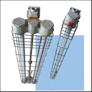 Explosion Proof BGM EBLG Series‐214 2xLED (1.2m)